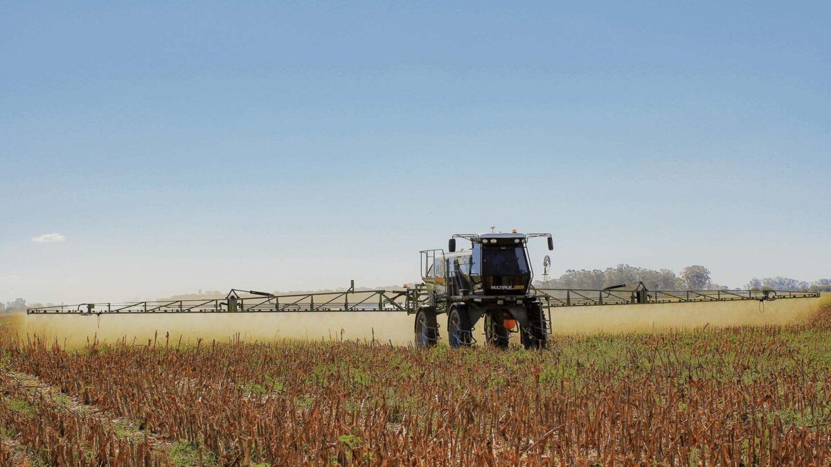 Alerta por olor a agroquímicos: tras reiteradas denuncias, iniciaron una investigación en la región