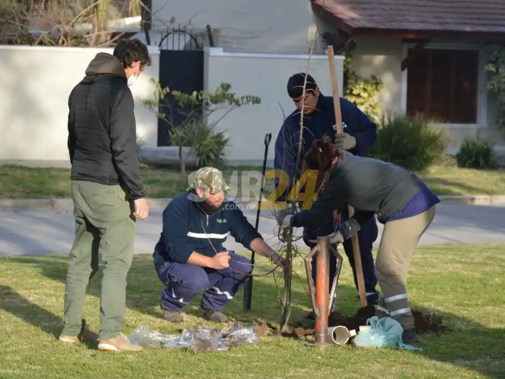 El Municipio afirmó su accionar de reforestación en plazas y espacios públicos 