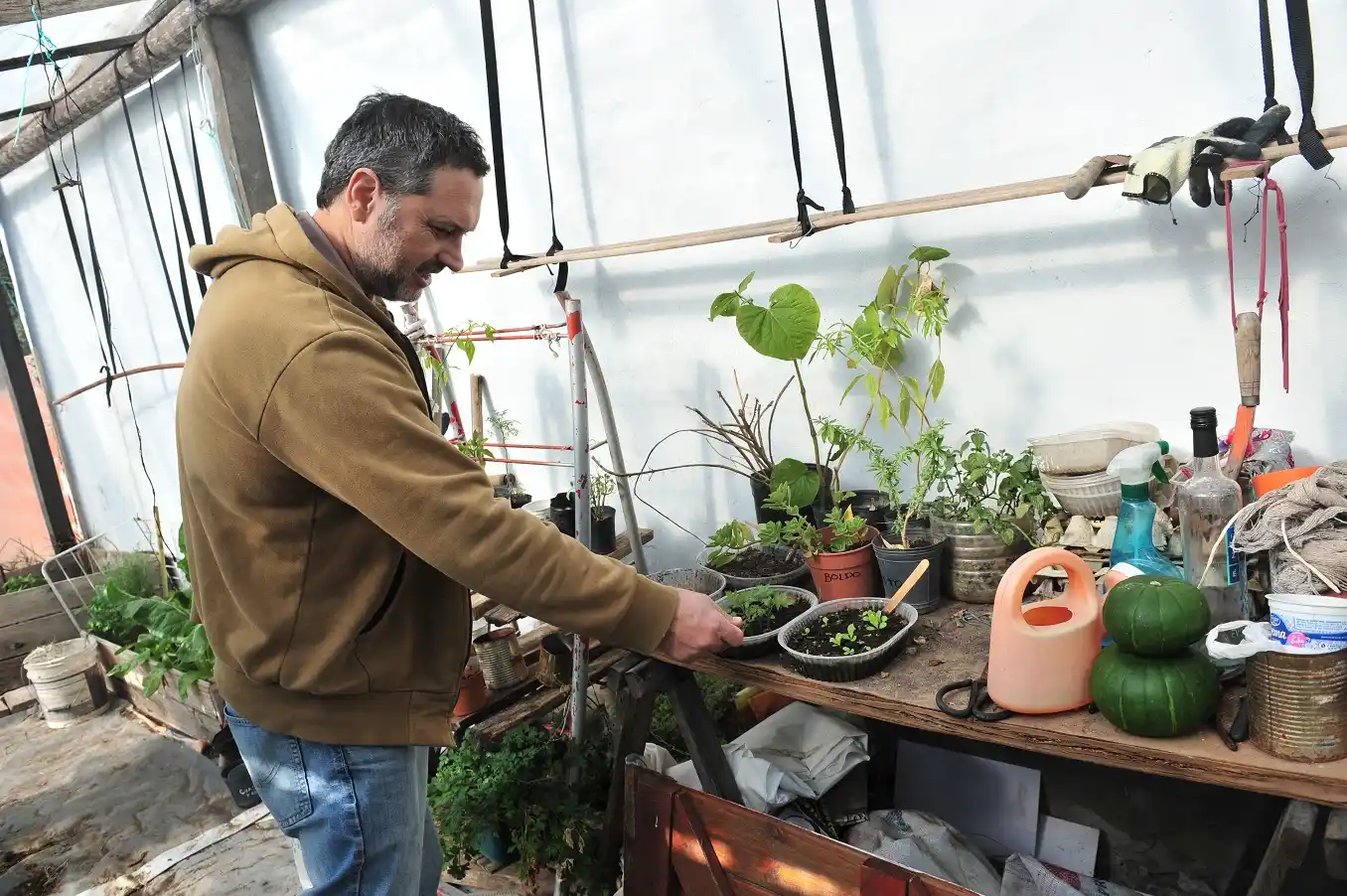 Huerta en casa: más de 300 familias  se volcaron al cultivo de hortalizas
