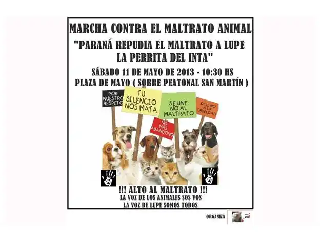 Marcharán contra el maltrato animal en Paraná