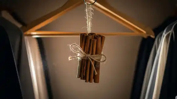 No es solo decoración: por qué conviene colgar un ramo de canela en el ropero