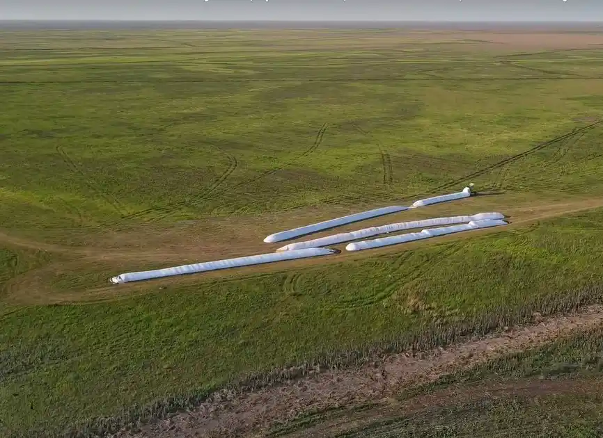 Allanaron plantaciones ilegales de maíz en un área protegida de las islas Lechiguanas