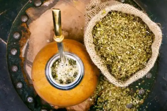 Bienestar: beneficios desconocidos de consumir yerba mate a diario