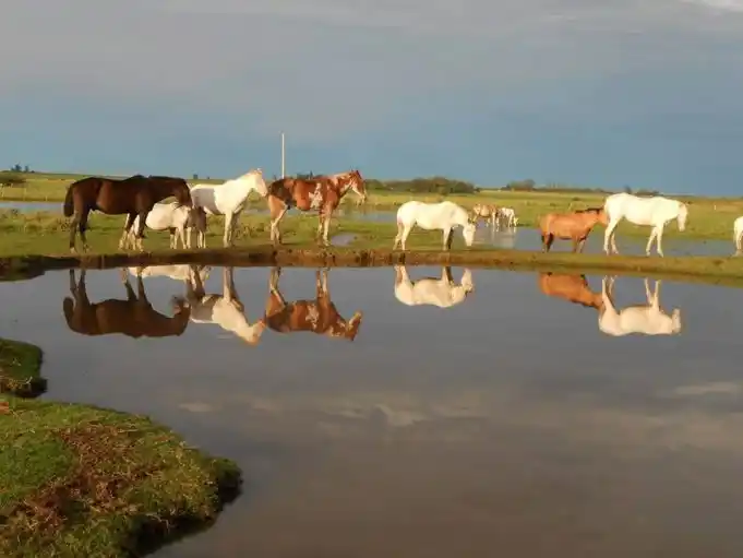 Seguiense obtuvo un premio en concurso fotográfico