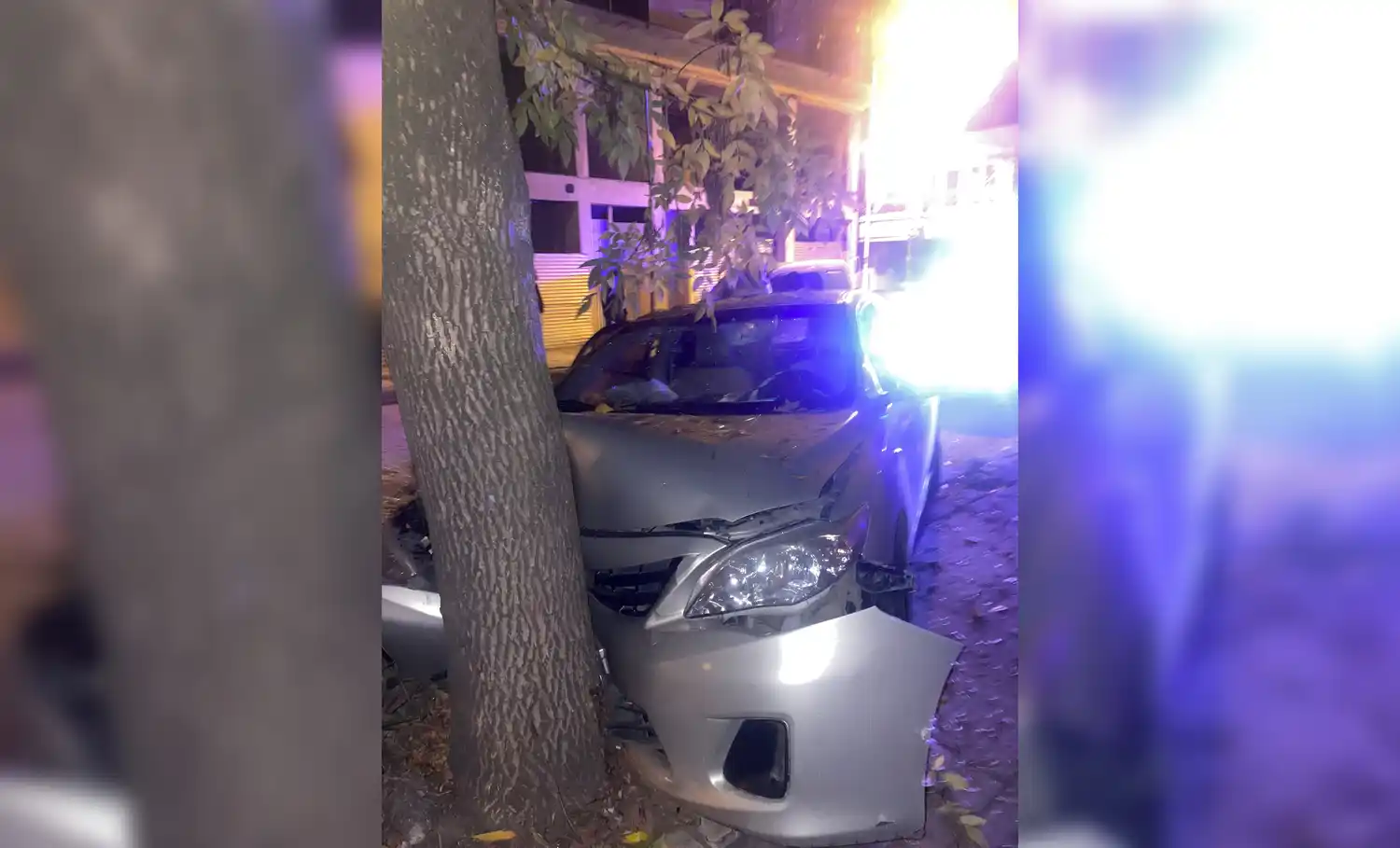 Así quedó el Corolla, incrustado contra el árbol.
