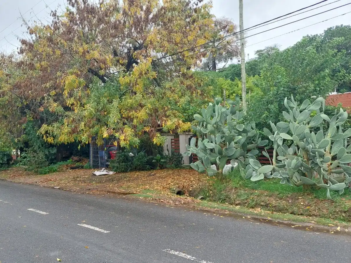 Desde Mallorca hacia el ex Tiro Federal, el Municipio perdió todos los terrenos al pie de barranca.