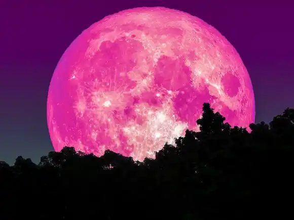 ¿CUÁNDO BRILLARÁ LA «LUNA ROSA»? Anota la fecha de la luna llena de abril