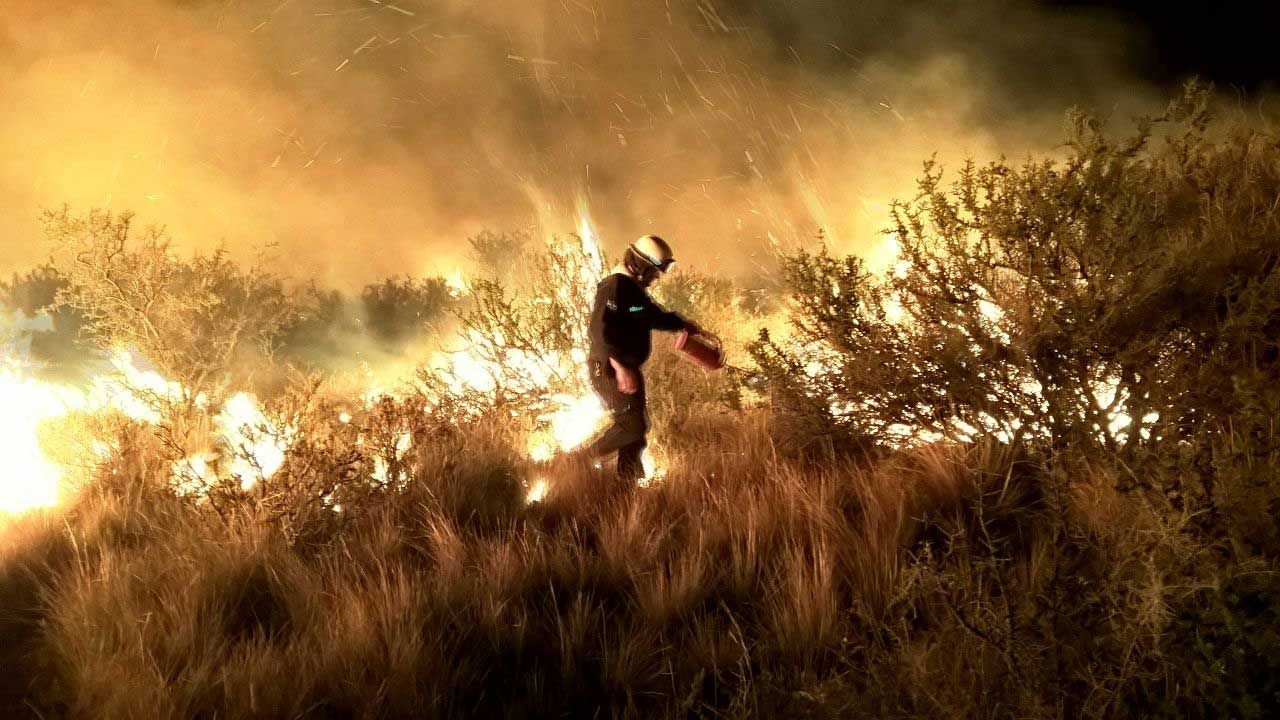 El fuego afectó más de un millón de hectáreas en el centro-sur del país