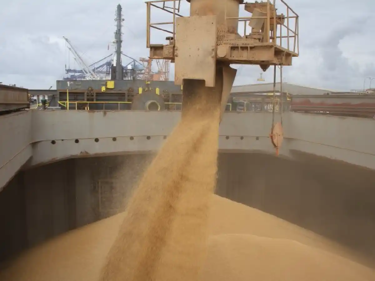 Diez empresas exportaron el 90,3 % de los granos y subproductos argentinos en 2018