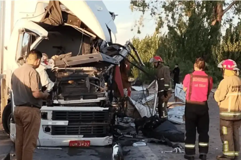 Los médicos del Servicio de Emergencias Coordinado confirmaron el fallecimiento del conductor brasileño.