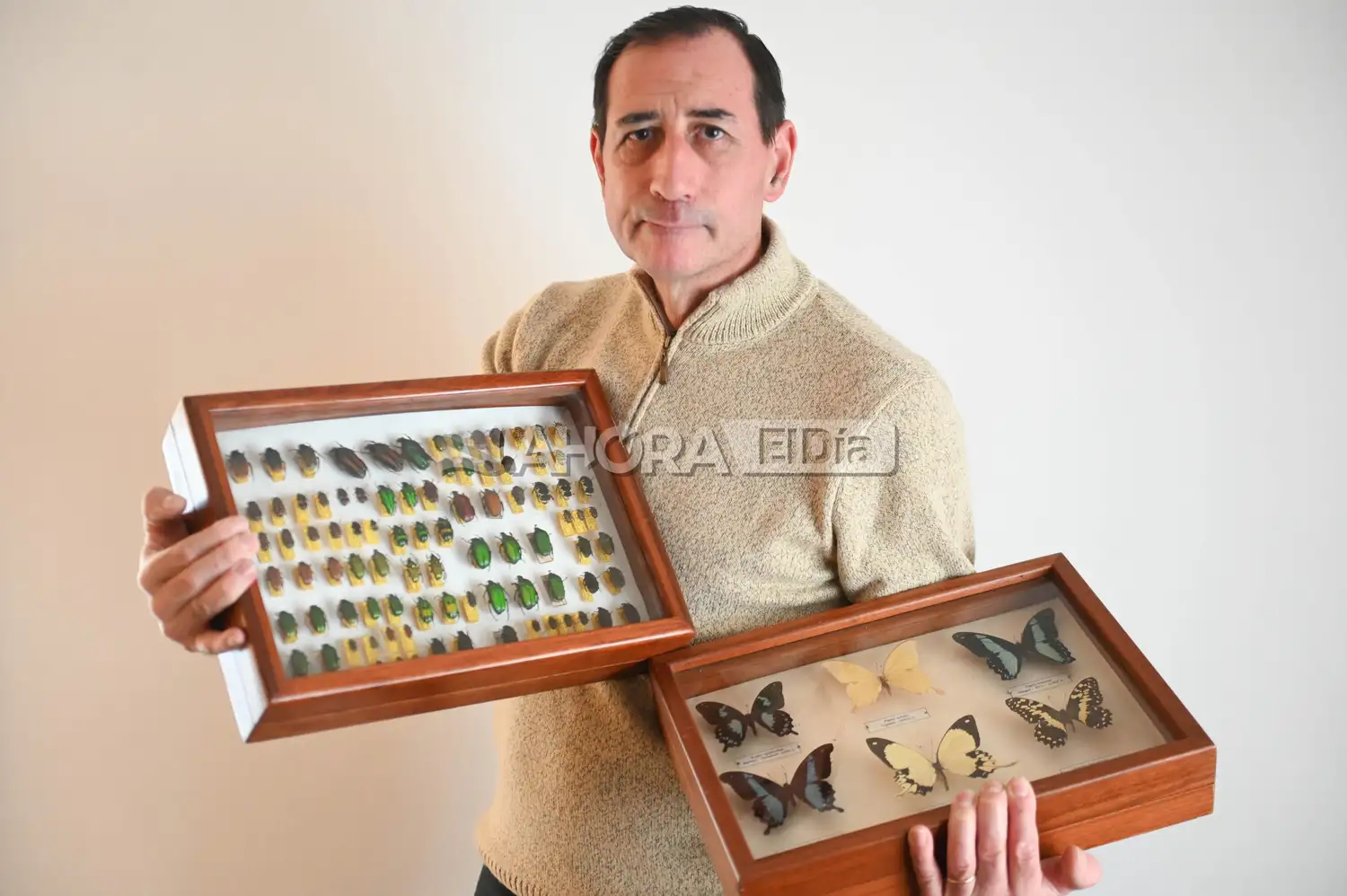 Daniel Barrios: “Con los insectos deberíamos ser más humildes”