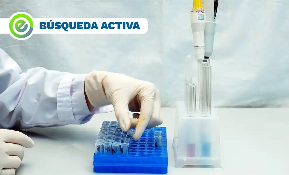 Búsqueda de trabajo en Tandil