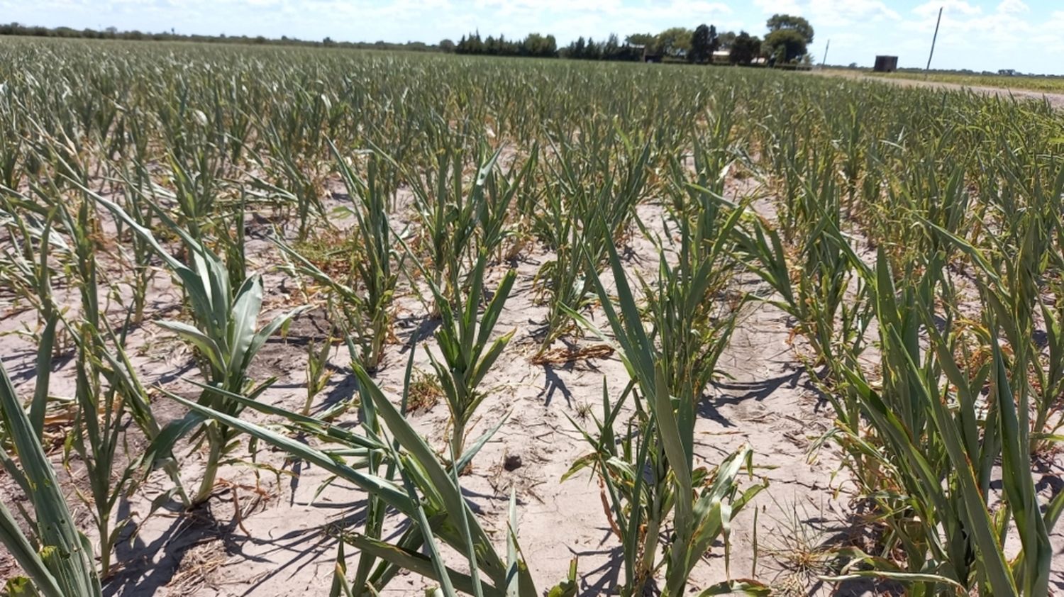 La Nación firmó la homologación de la Emergencia Agropecuaria para Santa Fe