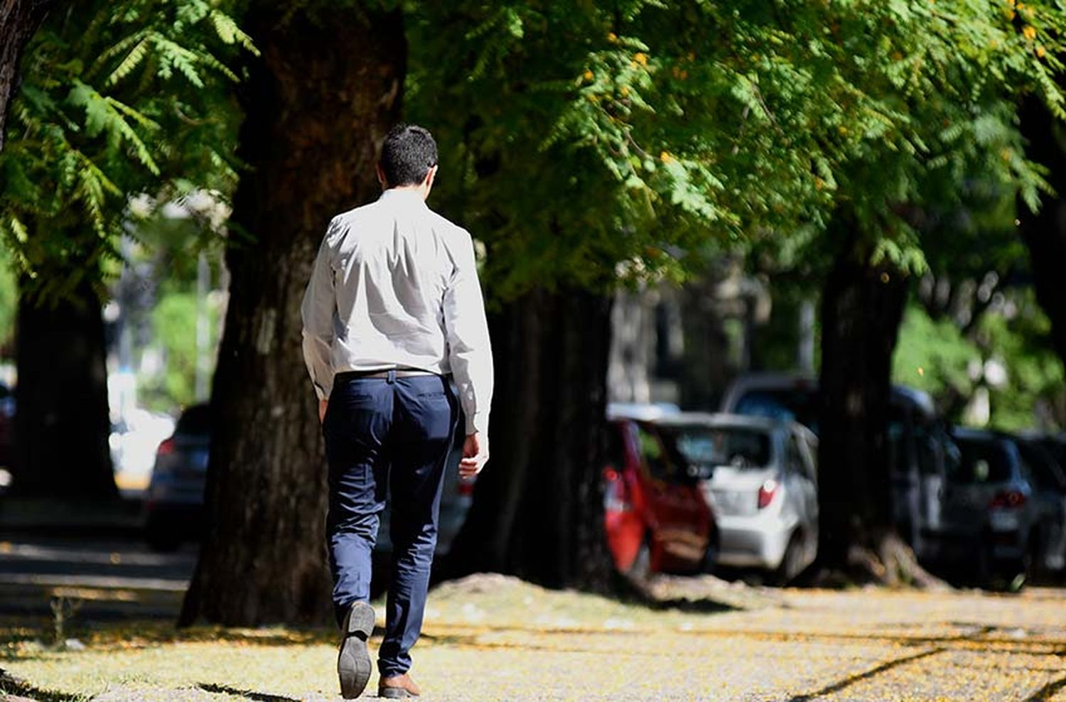 Domingo primaveral: nubosidad variable y clima agradable en la ciudad