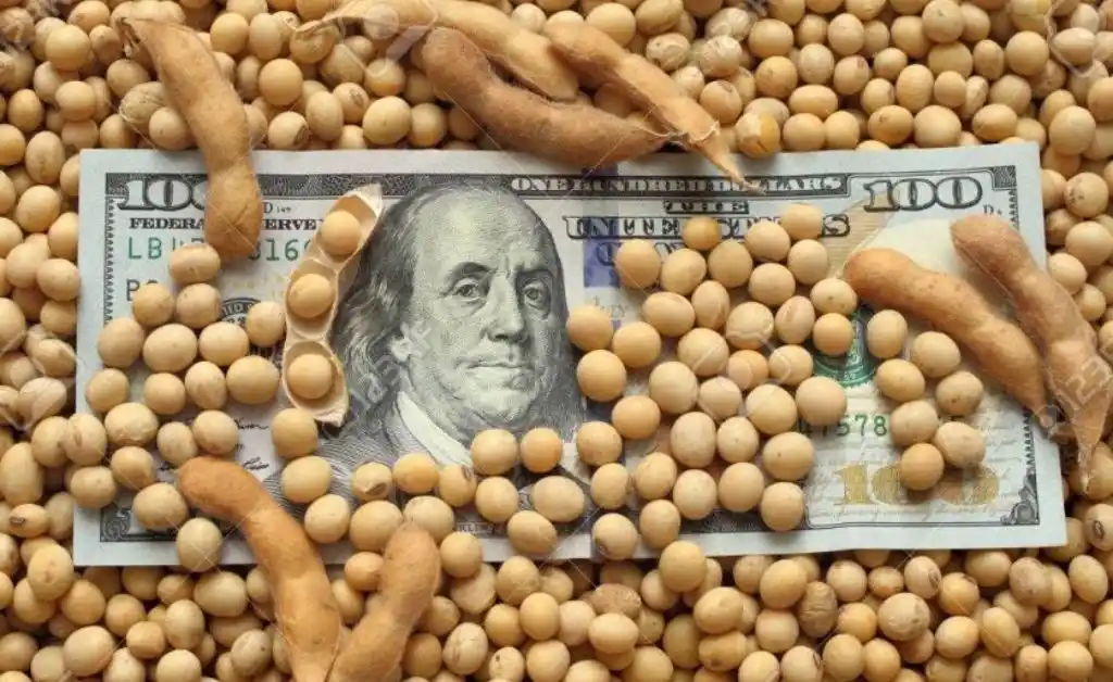 El precio de la soja subió más de US$10