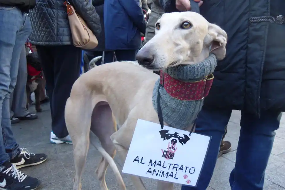 Marcha por derechos de los animales: Puntos de concentración en Provincia