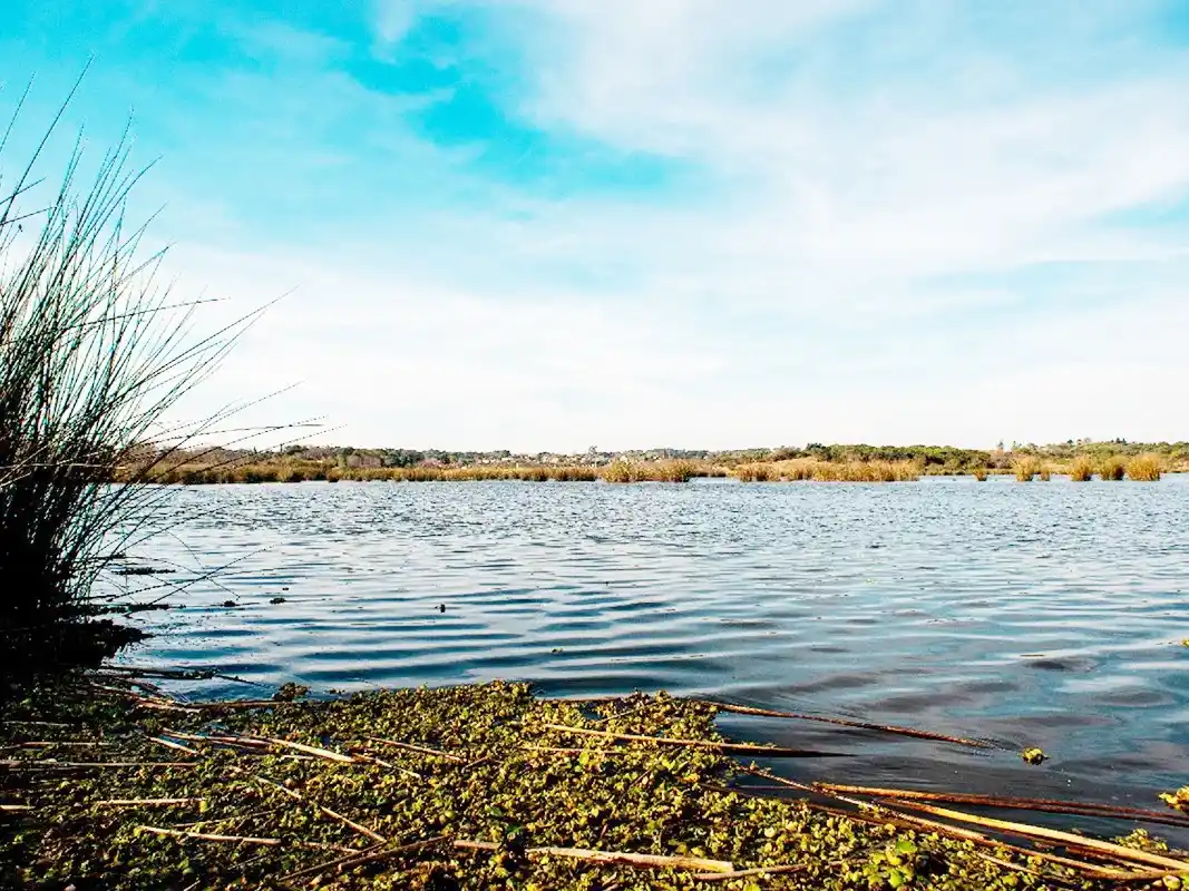 En 2025 el gobierno formó a más de 1200 agentes del Estado en materia ambiental