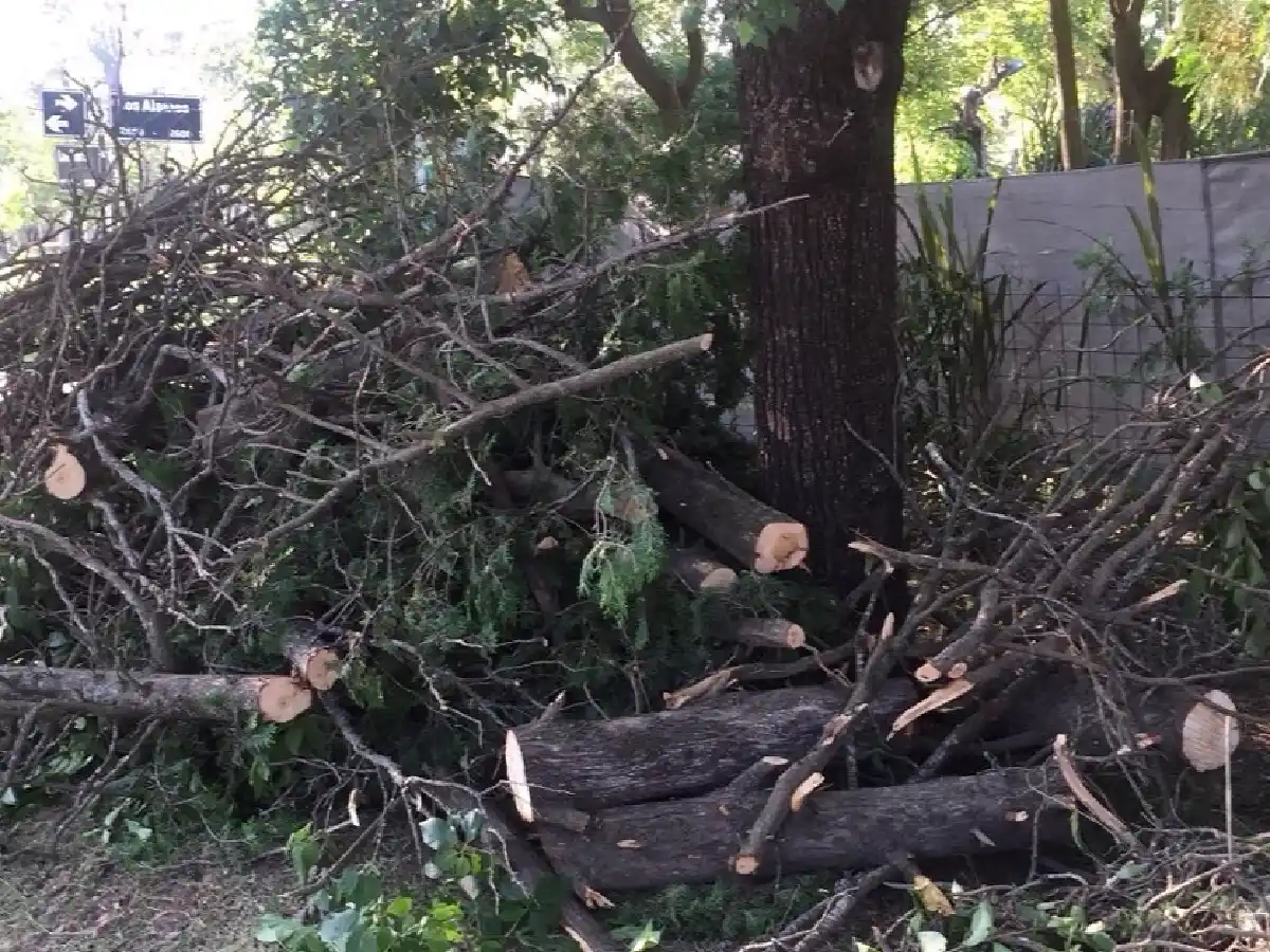 Piden mejoras en barrio El Prado