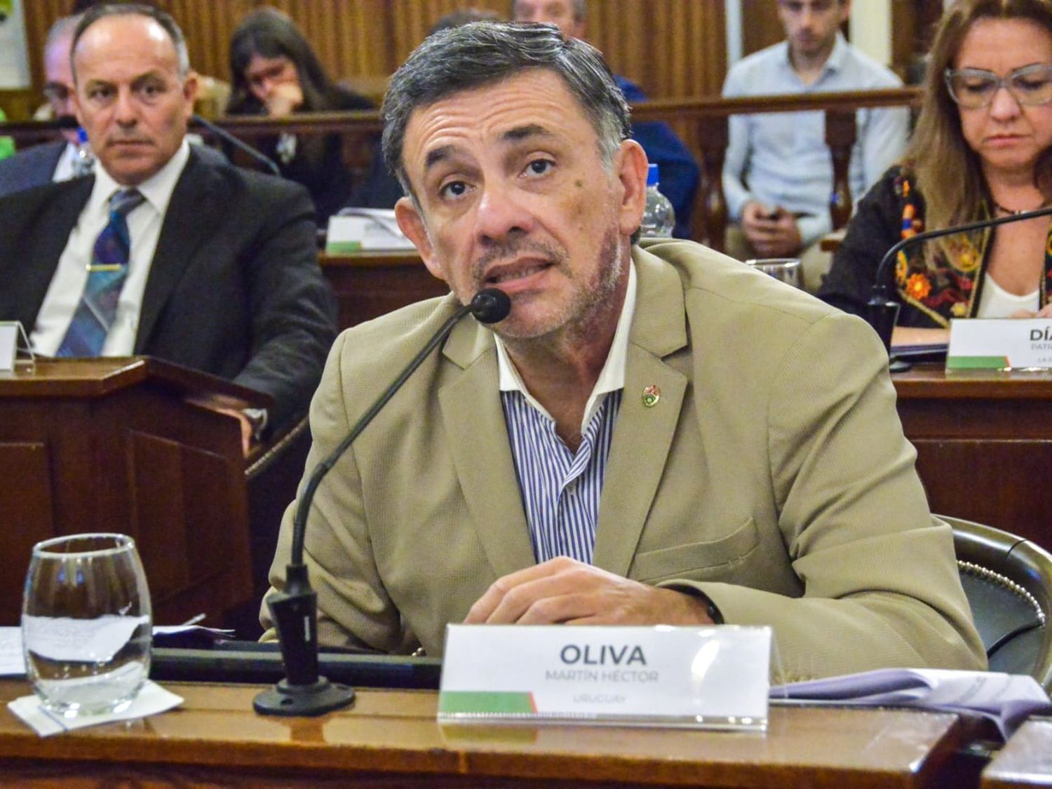 "Nada en Entre Ríos se construye desde la imposición", afirmó el senador Martín Oliva