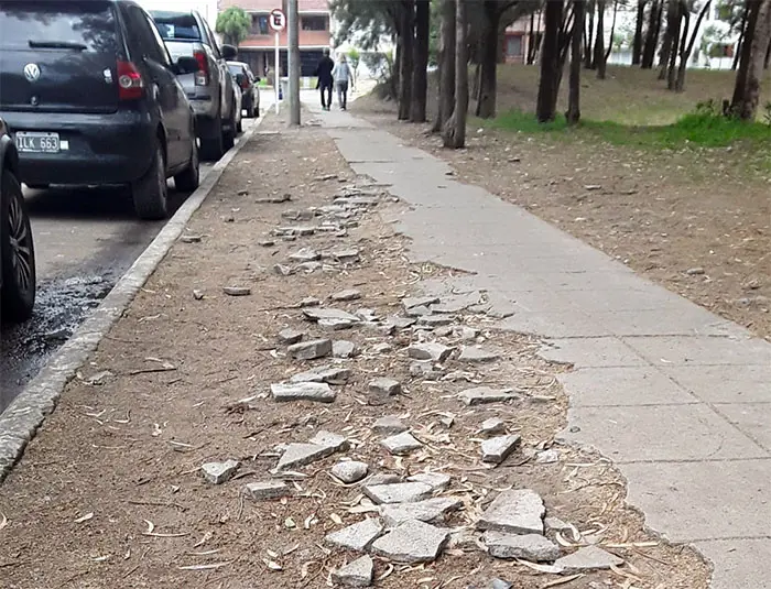 Pésimo estado presenta la vereda de Pinolandia