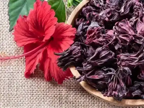 ¿Conoces los beneficios del consumo de la flor de Jamaica?