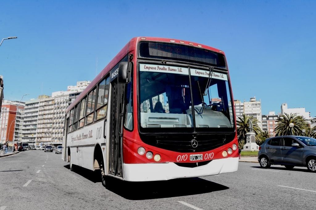 Polemica por la gratuidad del transporte público en las elecciones de General Pueyrredón