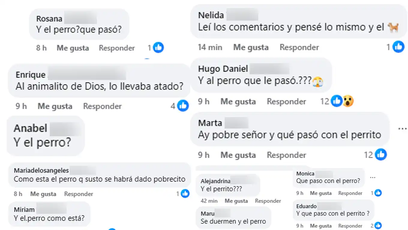 comentarios
