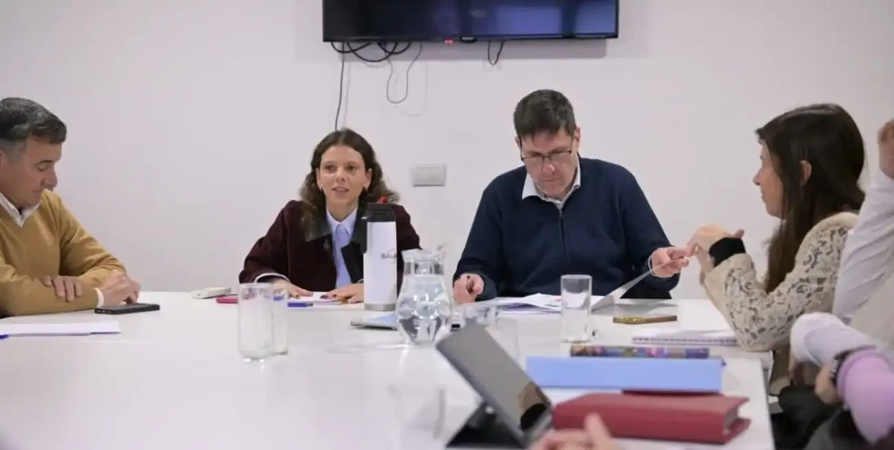 Reunión en la Comisión de Educación de Diputados.