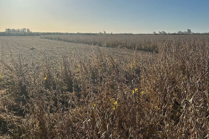 Nuestro Campo