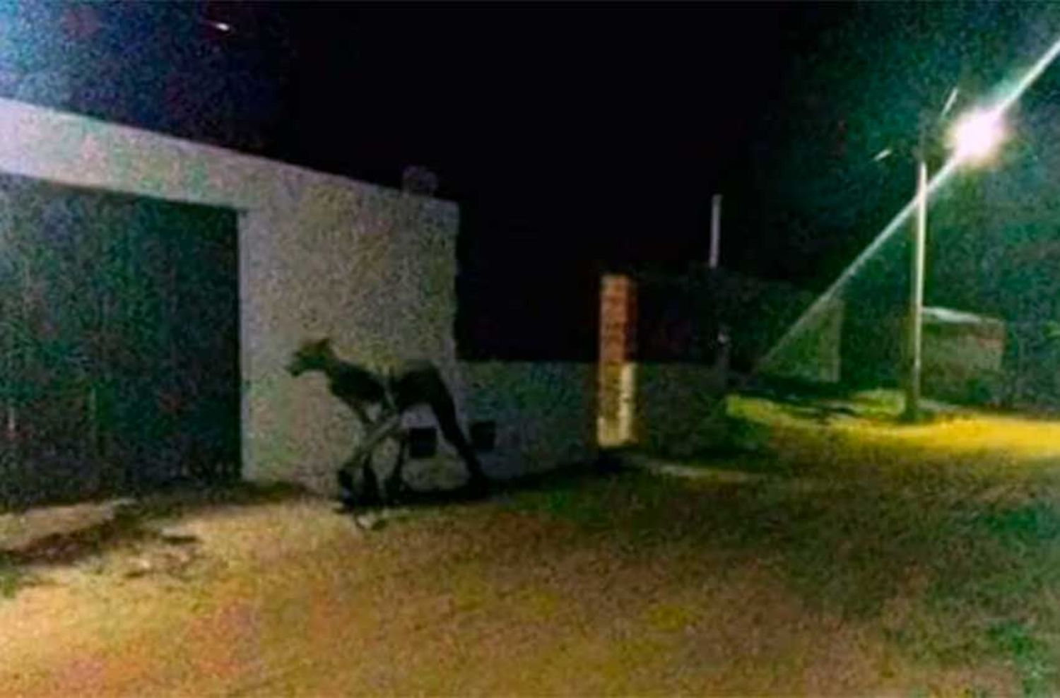 Gritos desgarradores atribuidos a un extraño ser aterraron a pobladores de una localidad tucumana