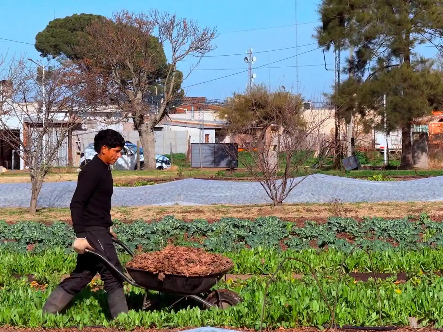 Huerta María Teresa