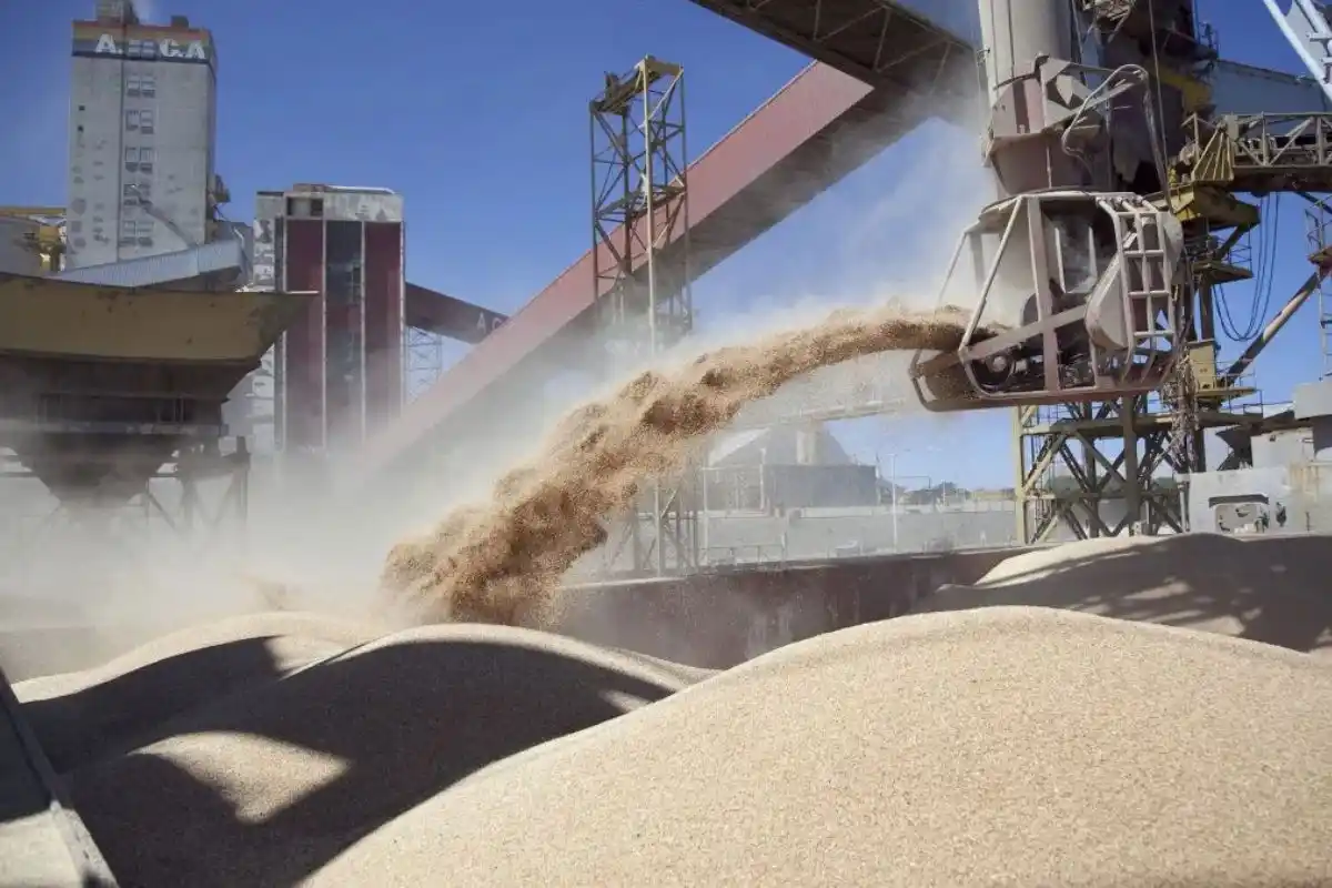 Este panorama positivo se extiende a la importación de soja, donde se anticipa una disminución en el volumen requerido en 2024 en comparación con el año actual.