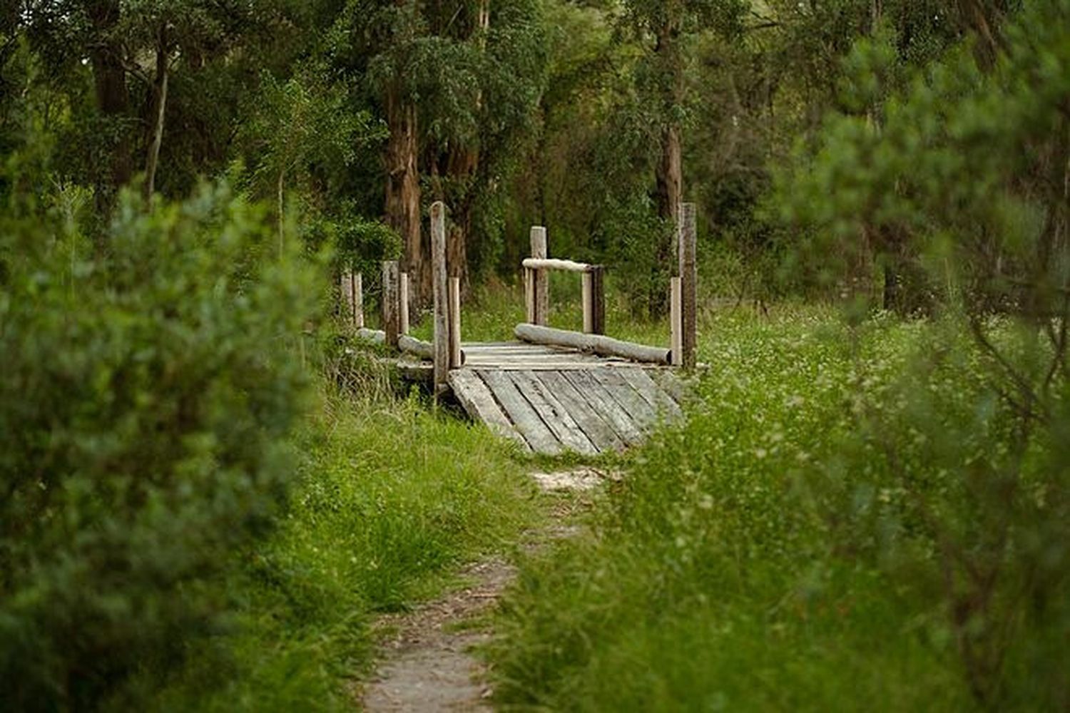 Reserva Municipal Escobar: Buscan potenciar el espacio para fomentar la conservación de la biodiversidad del distrito