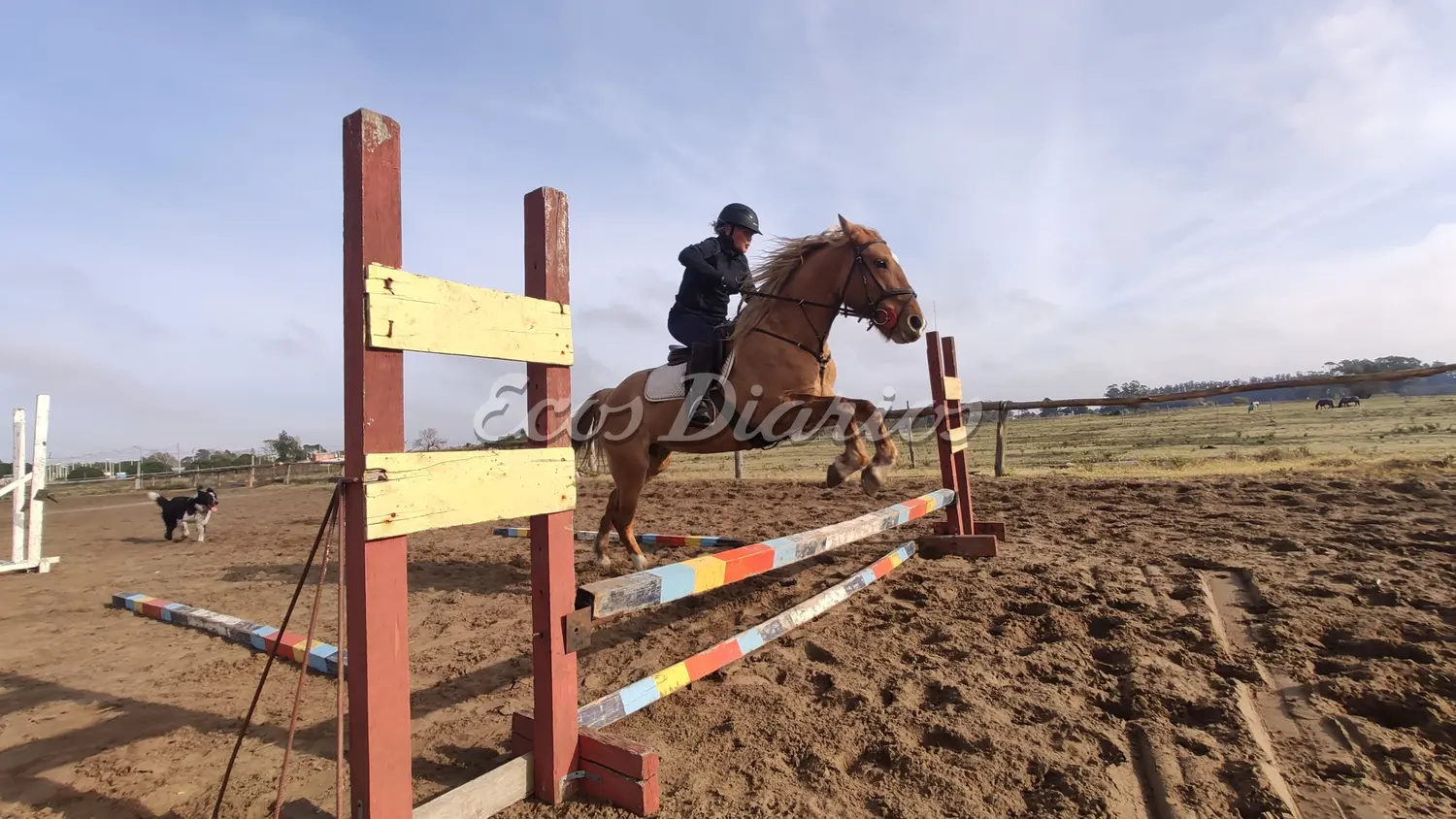 Salto. Durante uno de los entrenamientos
