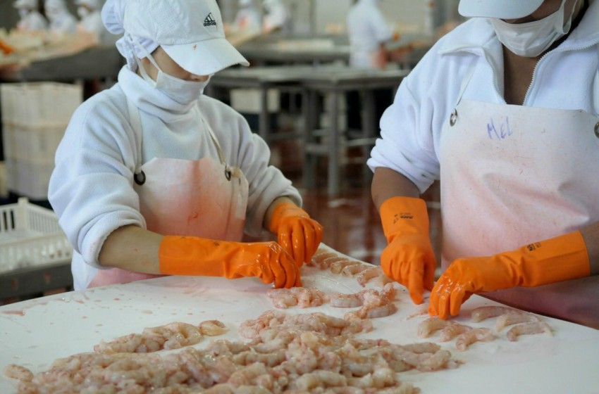 La pesca atravesada por la ola del coronavirus