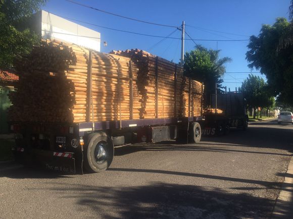 Vecinos de Thorne al 300 se quejan: “Por ordenanza, no puede haber un aserradero acá”