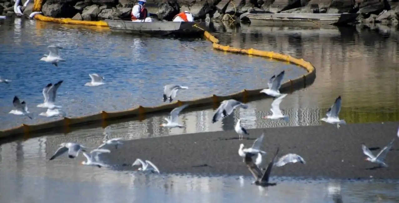 Un derrame de petróleo en California provoca un desastre ecológico