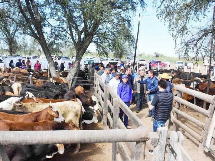 60 productores comercializaron más de 700 animales