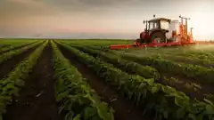 La soja cayó por debajo de los USD 400 por primera vez en cuatro años