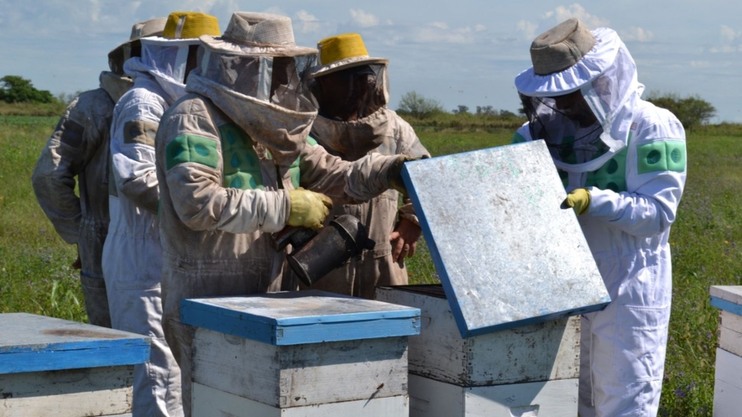 Los productores apícolas podrán acceder a beneficios ligados a la emergencia agropecuaria