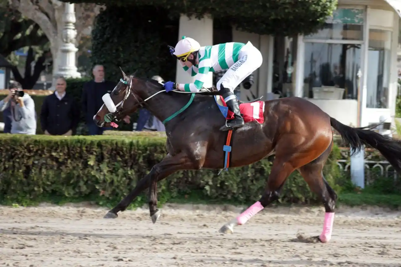 Sisterhood ganó en Palermo con total autoridad.