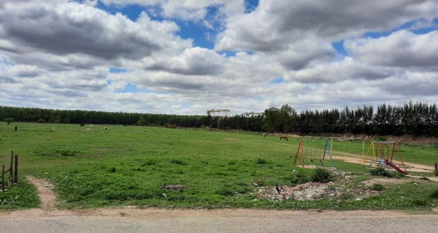 El niño de 8 años pateado por un caballo fue trasladado a San Nicolás: “Le fracturó el maxilar, lo tienen que operar”, dijo su abuela