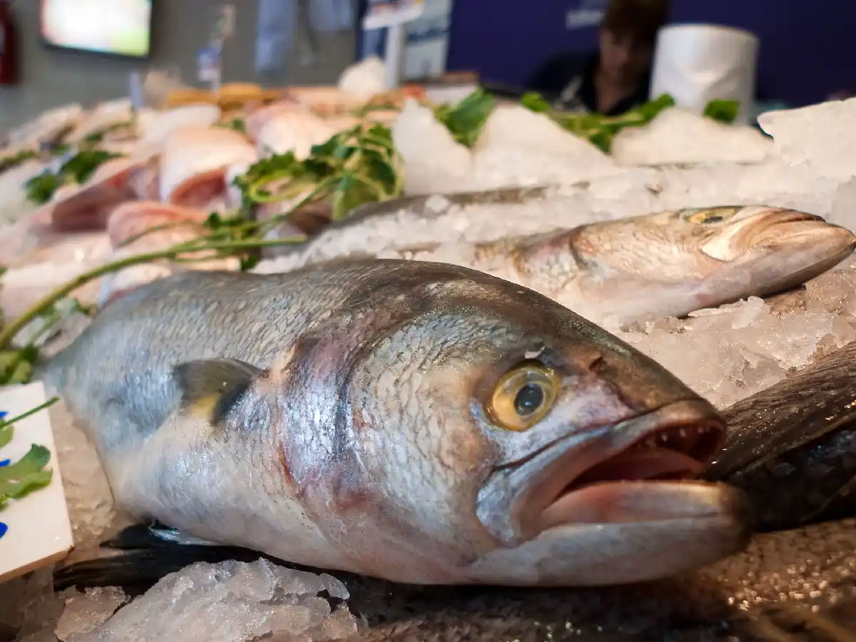 “La tradición está y no se  puede cumplir”: las ventas en  pescaderías cayeron en la ciudad 