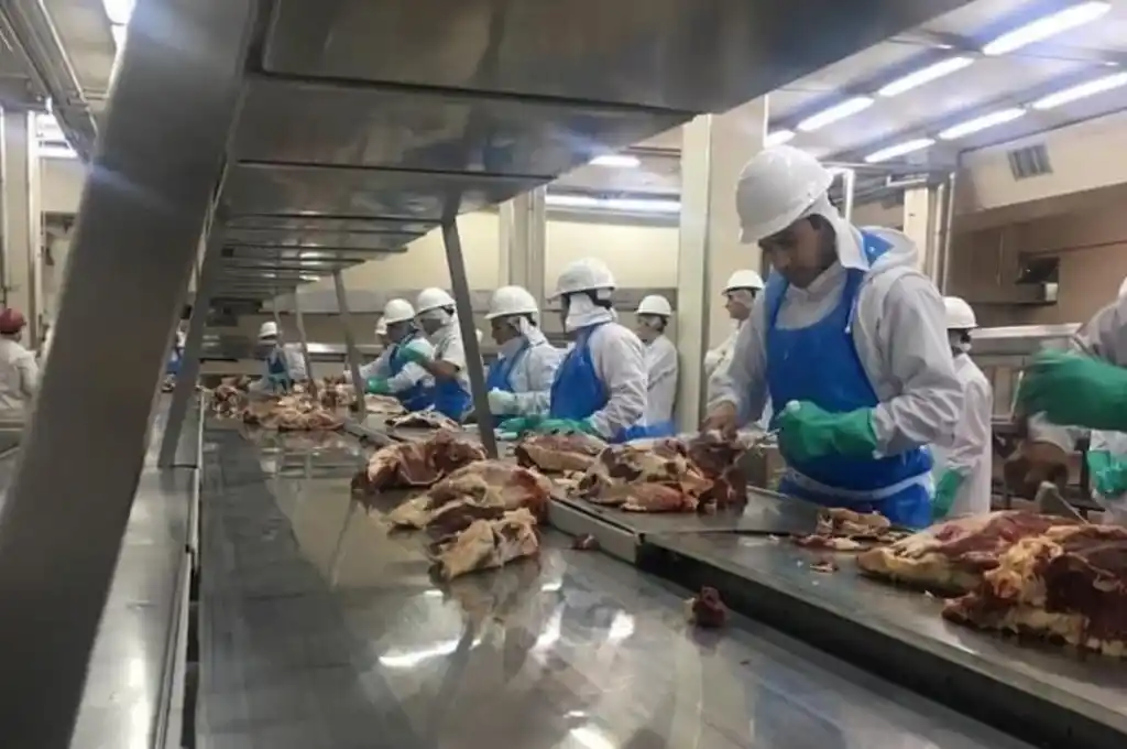 Los cortes Kosher volverían a producirse en el frigorífico Swift a mediados de enero