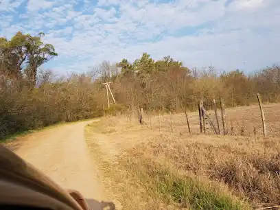 Foto ilustrativa camino rural Vuelta de Obligado. Archivo: La Opinión