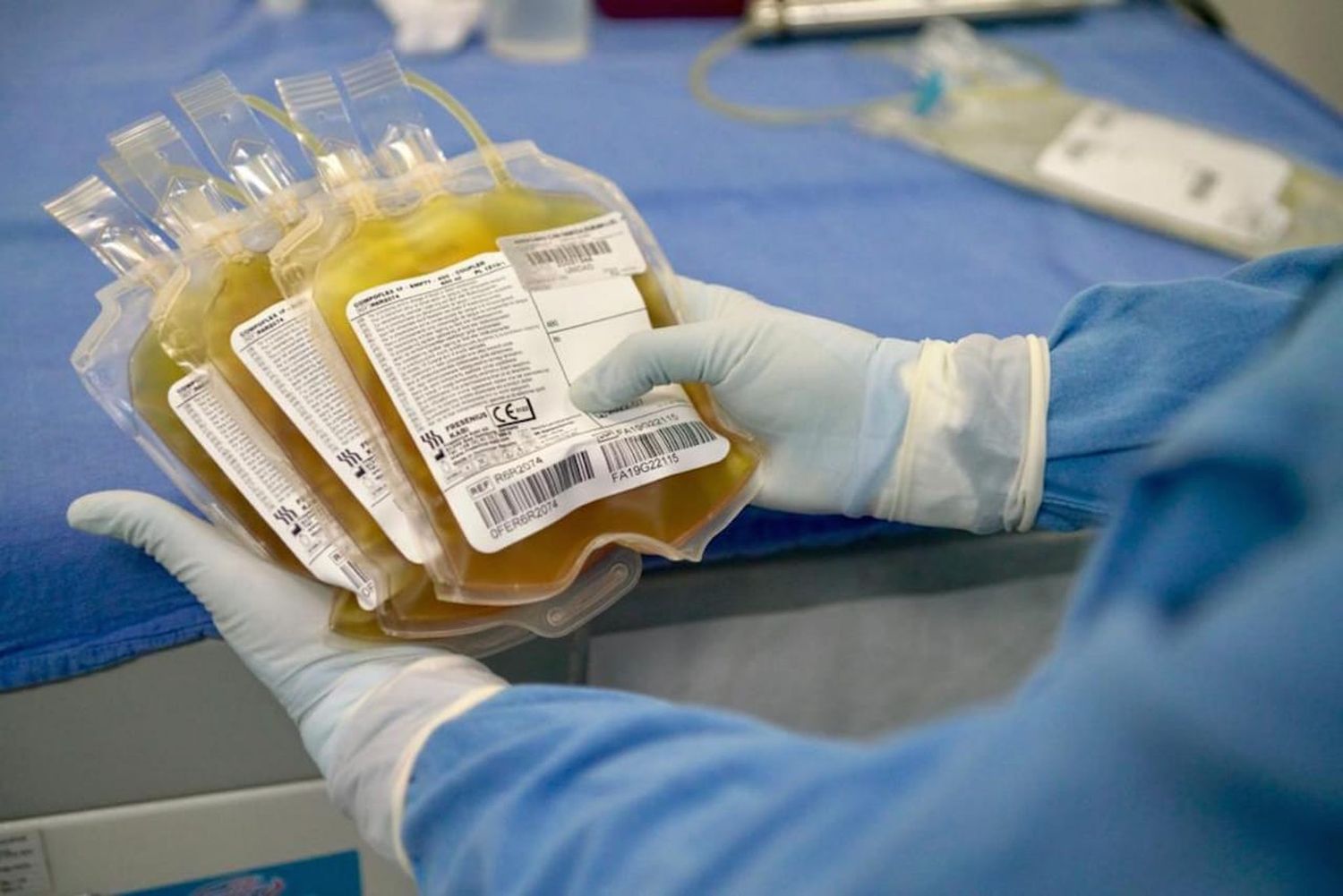 Diputados analizará en comisión un proyecto para la donación voluntaria de plasma
