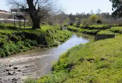 El Langueyú acumula denuncias vecinales de contaminación y será intervenido para evaluar su estado