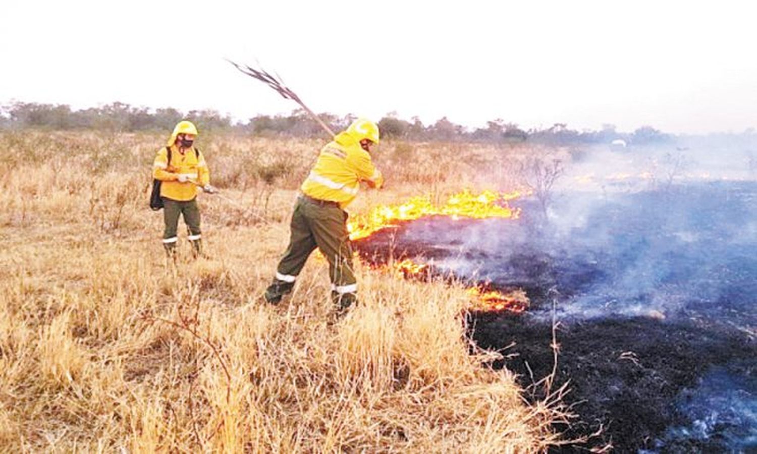 Herradura: los incendios intencionales y la sequía complican al sector productivo