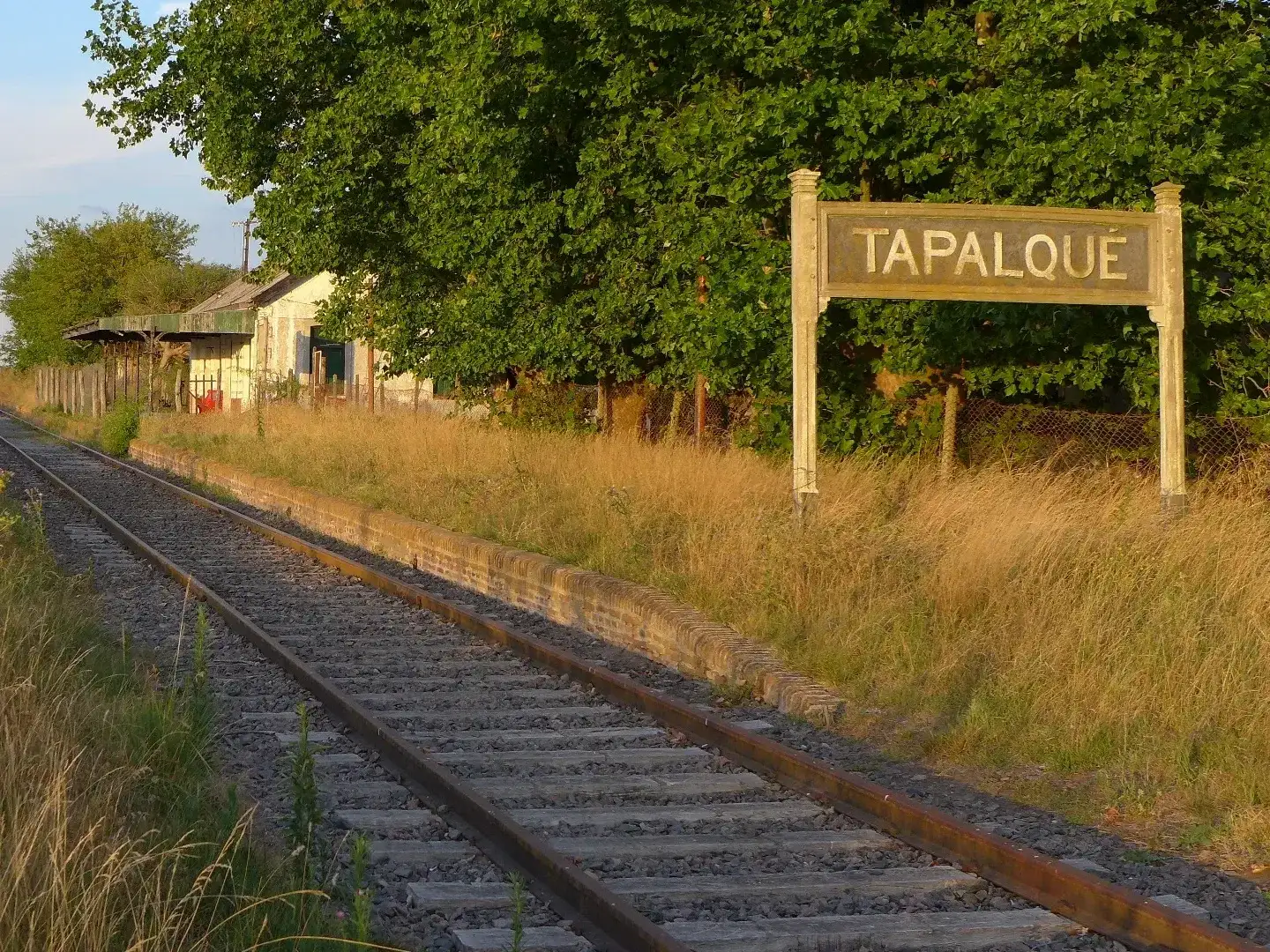 Grave denuncia de violencia de género en Tapalqué.