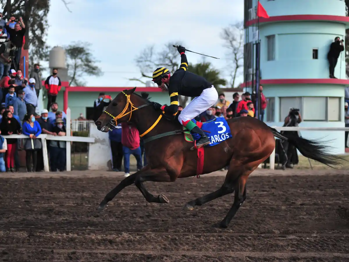 Recta final para la “Carrera del Año”